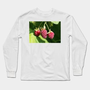 Loganberry Long Sleeve T-Shirt